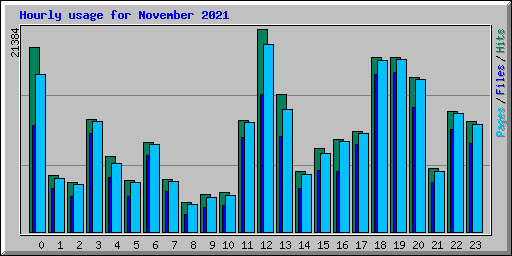 Hourly usage for November 2021
