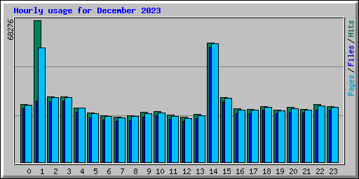 Hourly usage for December 2023
